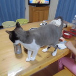 ヤオヨシ - 食べてみた