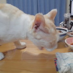 ヤオヨシ - 食べてみた