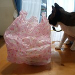 プチバカンス - モツ煮込み500円