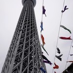 天空LOUNGE TOP of TREE - 鯉のぼりとスカイツリー