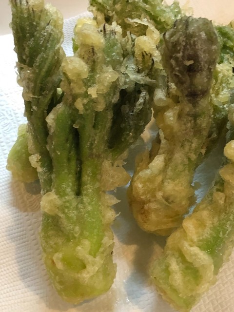 居酒屋　かいらく - むつ市その他（居酒屋）の写真