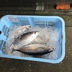 田中鮮魚店 - 