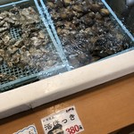 厚岸味覚ターミナル コンキリエ  - 