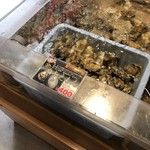 厚岸味覚ターミナル コンキリエ  - 