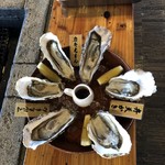 厚岸味覚ターミナル コンキリエ  - 