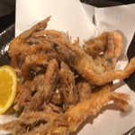 はちこう居酒屋 - 小エビ唐揚げ揚げたてはサクサクです