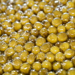 鮨松榮 - N25キャビア