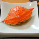 鮨松榮 - 渡蟹 トマトクリーム煮