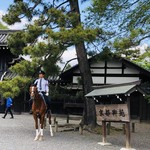 リョウリヤ ステファン パンテル - 京都御苑の平安騎馬隊に遭遇。京都ならではの風景♡リョウリヤ ステファン パンテルは、京都御苑のすぐ側ですよ(๑･̑◡･̑๑)