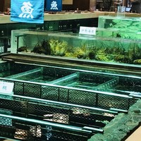 博多料亭 稚加榮 - 