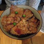 十勝亭 - 【比較用】2015年利用時の本ロースＭサイズ860円