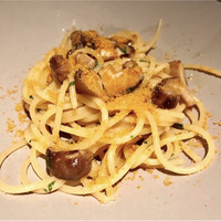 ecco - 
