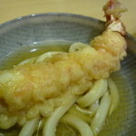 手打ちうどん 新富 - ☆ちょっと取り分けても☆