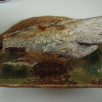 桂城 - マグロカマ塩焼き(2008.12)