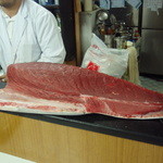 桂城 - マグロを見せて頂きました。上物のメバチマグロです。(2008.12)