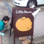 Little Brown - 