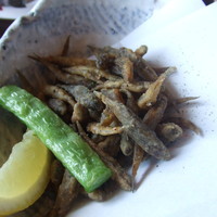 土佐料理 祢保希 新宿店 - 