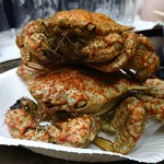 やきとり嵯峨 - トゲクリガニ