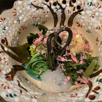 御料理 まつ山 - のれそれ 花ワサビ かたくりの花　わらび うるい　こごみ　菜の花 独活　桜