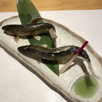 柳家錦 - 