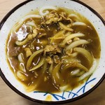 公園堂食堂 - ☆カレーうどん(税込486円) 辛味の無い出汁の効いたサラサラ系のカレー汁でした。