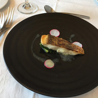 アマルフィイ・モデルナ - 