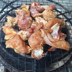 活地鶏専門 かしわの川中 - 近江しゃも 炭火焼