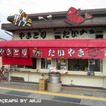 Taiyaki Shibata - 