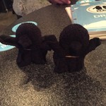 ペンギンのいるダイニングバー沖縄 - 