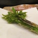 天ぷら わかやま - コシアブラ(山形産)。店主にオススメいただきました。