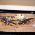 津の守坂 小柴 - 稚鮎揚げ　筍木の芽焼き