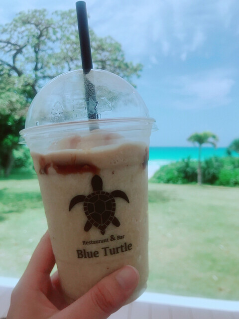ブルータートル[Blue Turtle]>