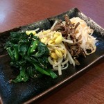 紅梅園 - H.31.3.12.昼 ナムル 450円税別