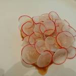 stesso e Magari CHIC - 