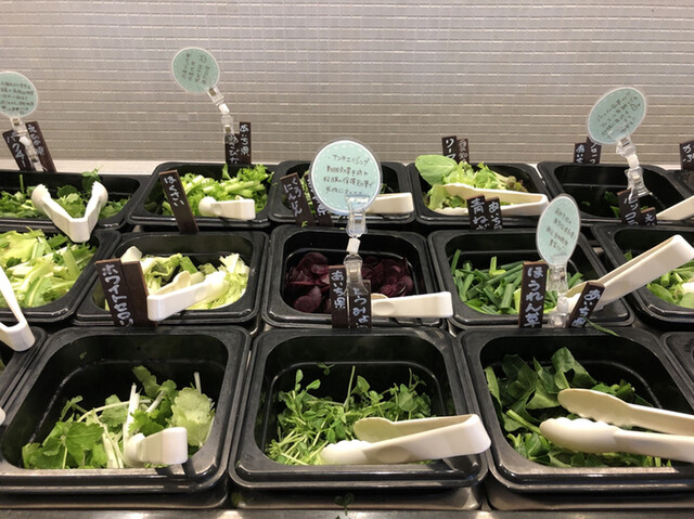 野菜がおいしいごはん 安城 野菜料理 食べログ