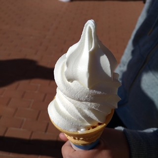 シワスワンズ_2