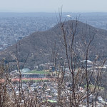 バーンズ - 【2019年04月】よく見ると、手前には「円山球場」、奥の銀色のドームが「札幌ドーム」と新旧球場が見えます。