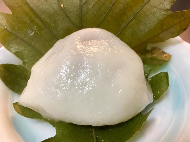 Suzunedou Kashihara no Sato Koami Ten