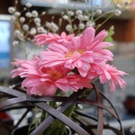 家庭料理 小川 - 