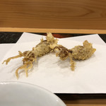 手打蕎麦 松竹庵 ます川 - 