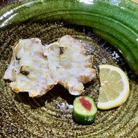 滝の川 - 