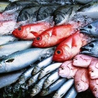 産地直送の鮮魚メニュー