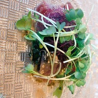 キハチ 青山本店 - 