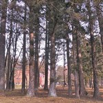 ニッカウヰスキー仙台工場 宮城峡蒸溜所 - 