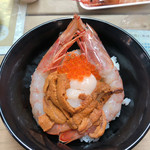 魚類組合 - 