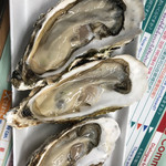 魚類組合 - 