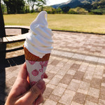 阿賀野川サービスエリア（上り) - べこ乳ソフトクリーム350円