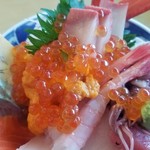 寺泊中央水産 まるなか - 特上ちらし