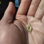 サントリー 天然水のビール工場 東京・武蔵野ブルワリー - 