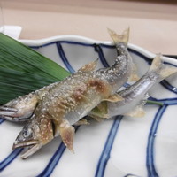 味舌 - 美しい焼き魚